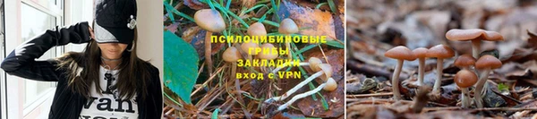 кокаин колумбия Пролетарск