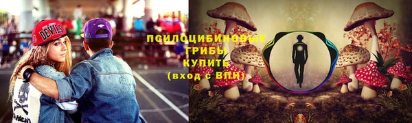 наркотики Алексин